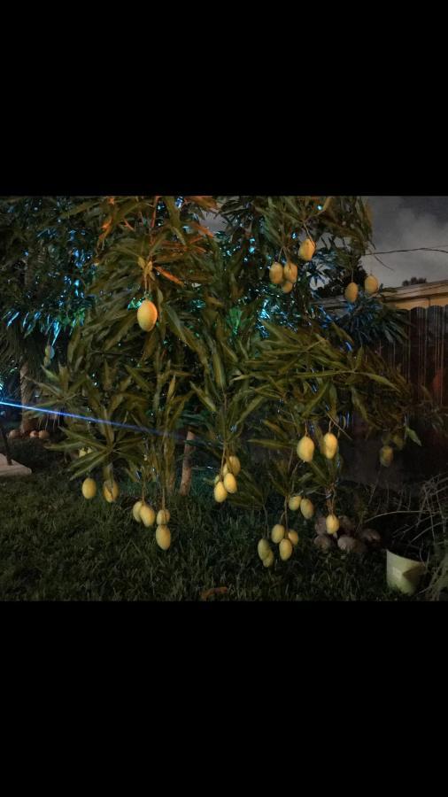 Paradise Oasis1 Golden Glades Eksteriør billede